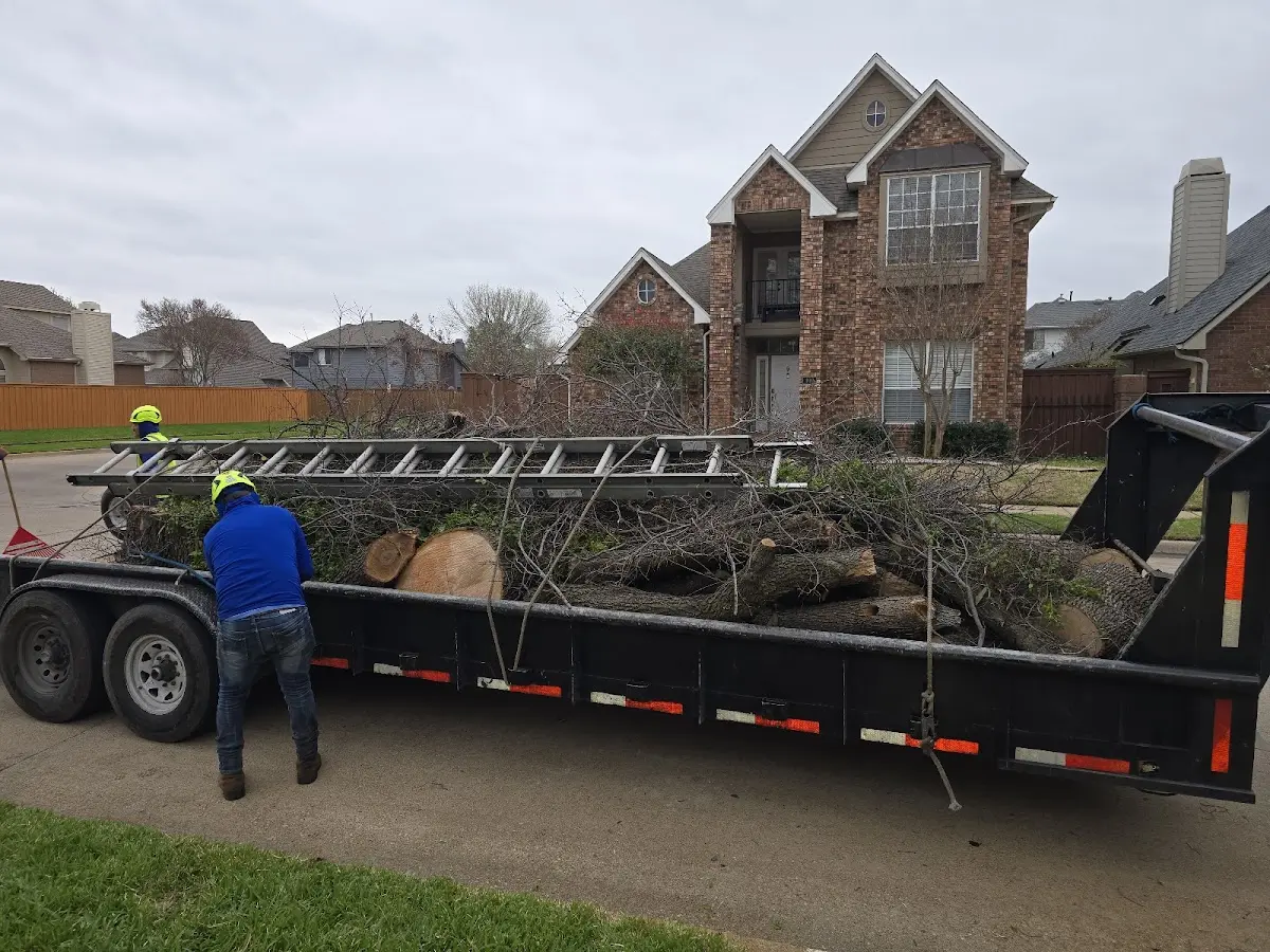 Expert Tree Pest Control with proper safety equipment in Neptune